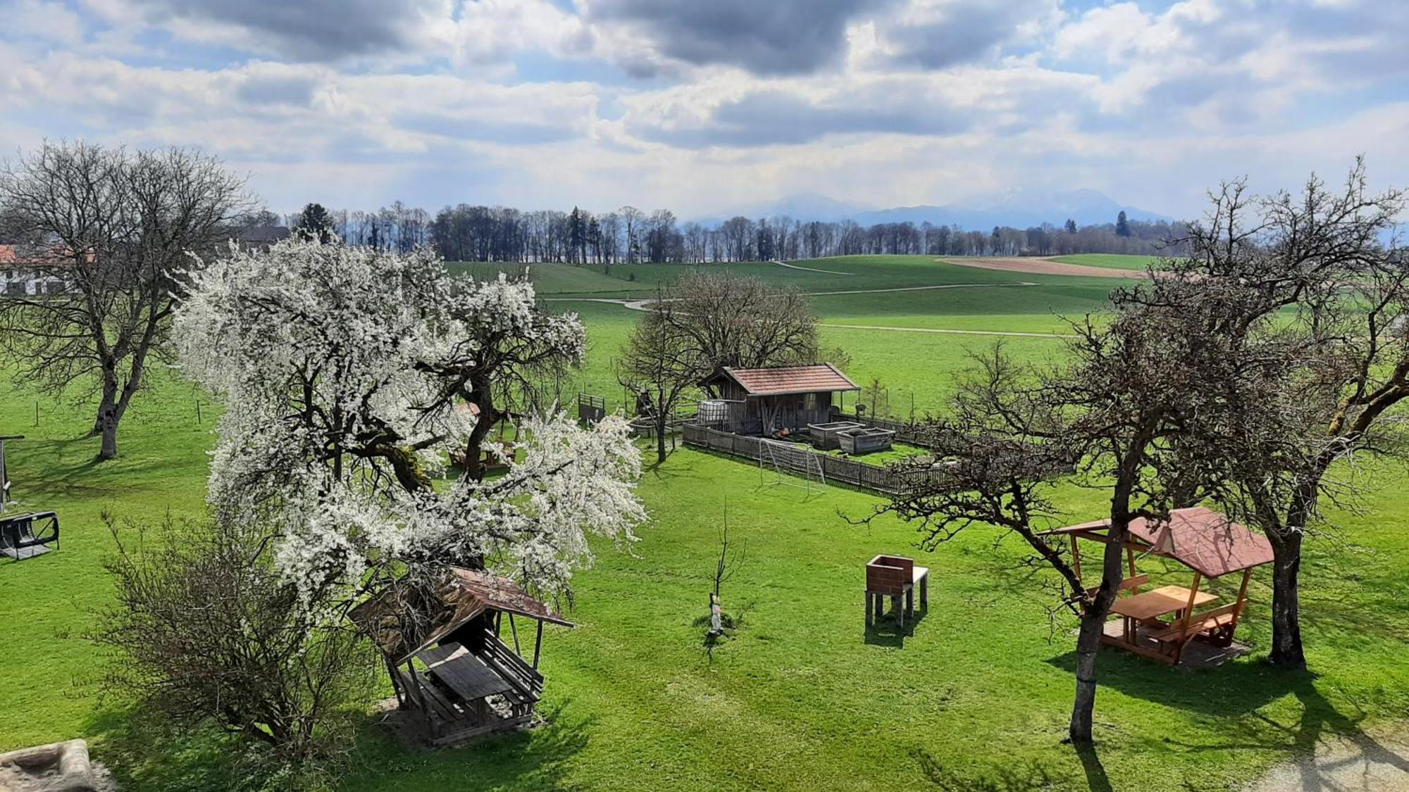 Ferienwohnungen Loisenhof Gstadt am Chiemsee Esterno foto
